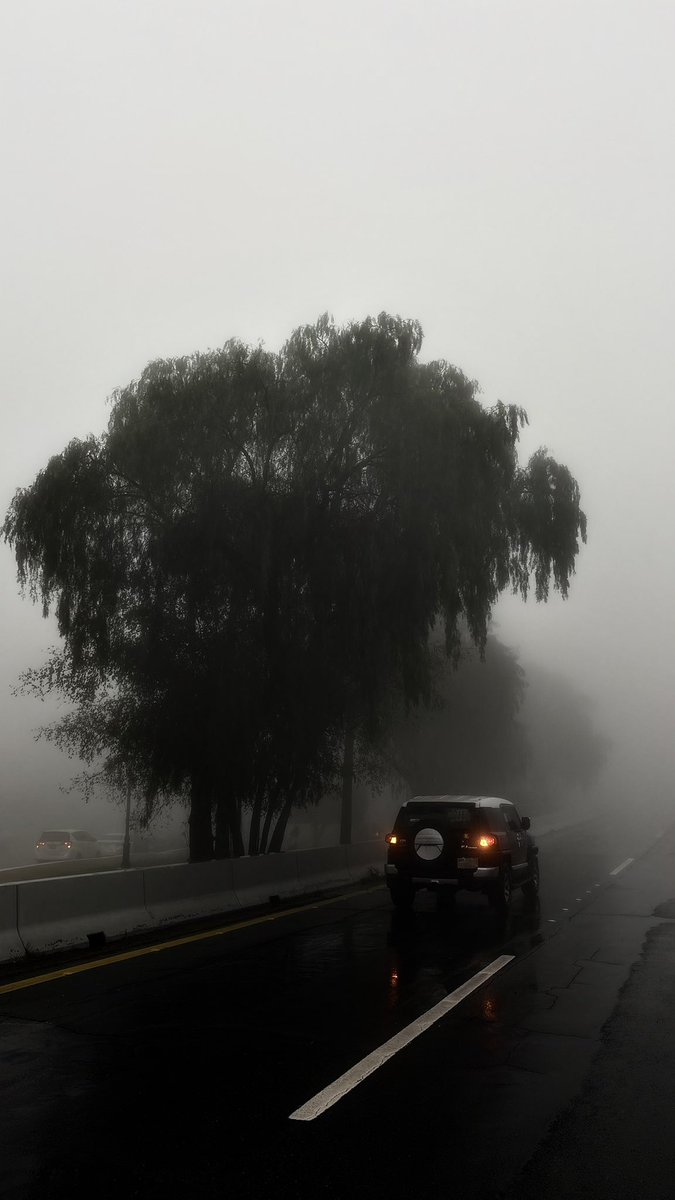 eightyeight tweet media