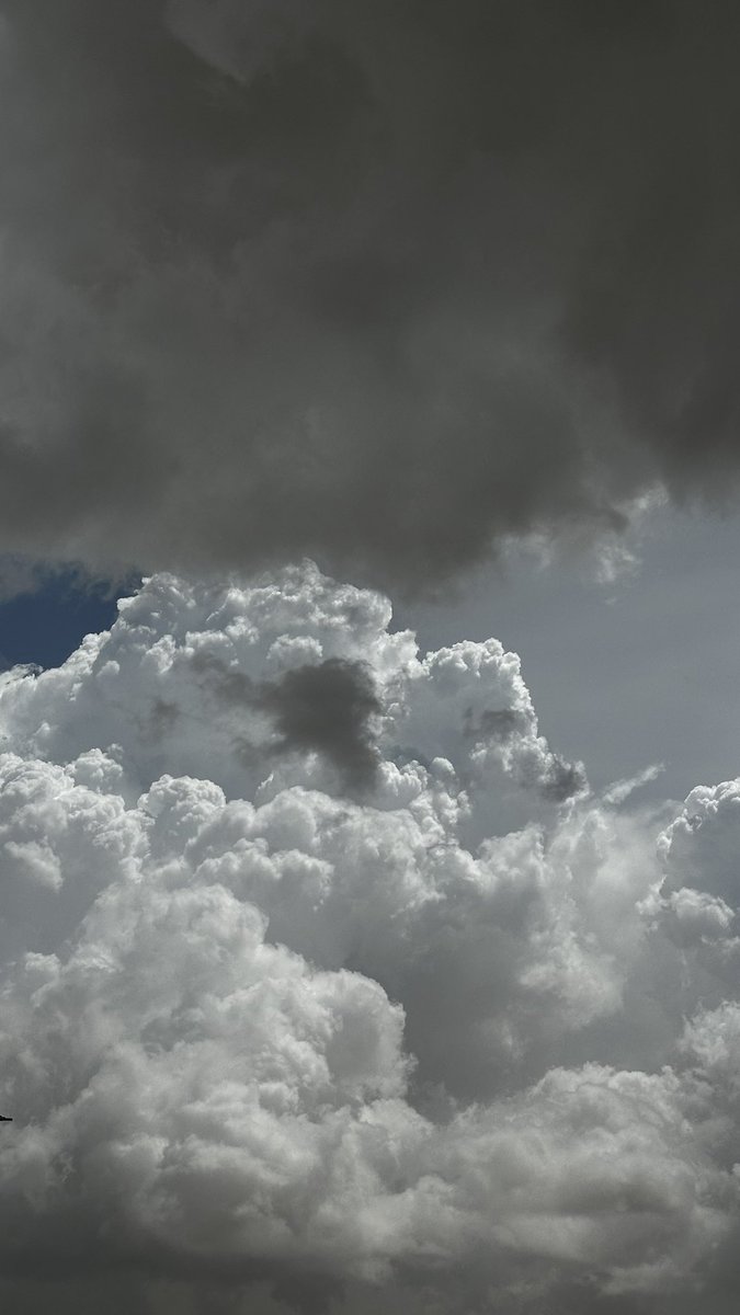 I’m Rami tweet media