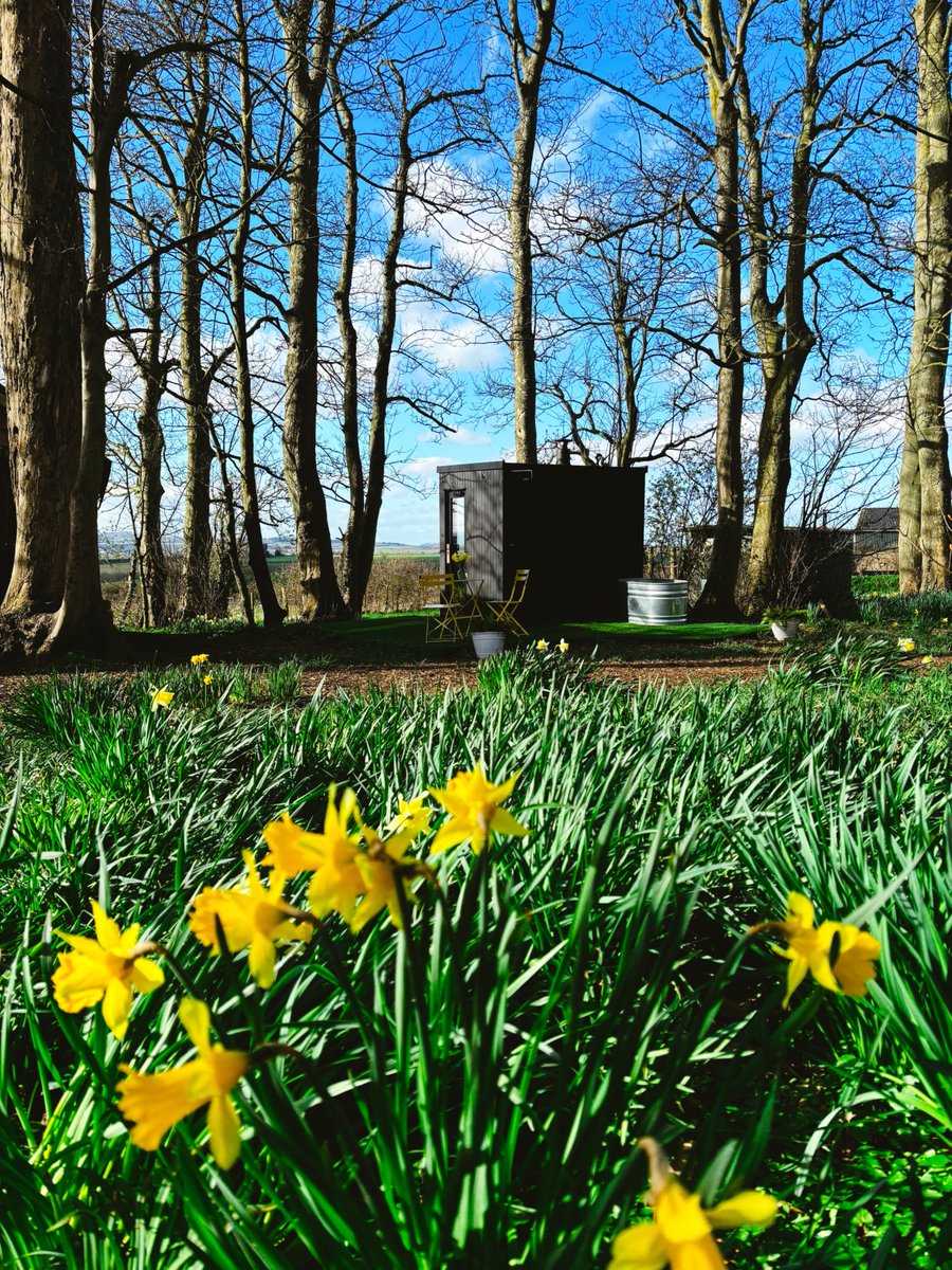 MadDogsglamping's tweet photo. Our beautiful Secret Sauna will be steaming away over Easter w/ sessions on Good Fri, Easter Sat, Easter Day & Easter Mon
Easy booking https://t.co/Uq3wAwRkYa
#sauna #herefordshiresauna #monmouthshiresauna #rosssauna #herefordsauna #monmouthsauna #secretsauna #wellness #health https://t.co/GLdXCSRLRw