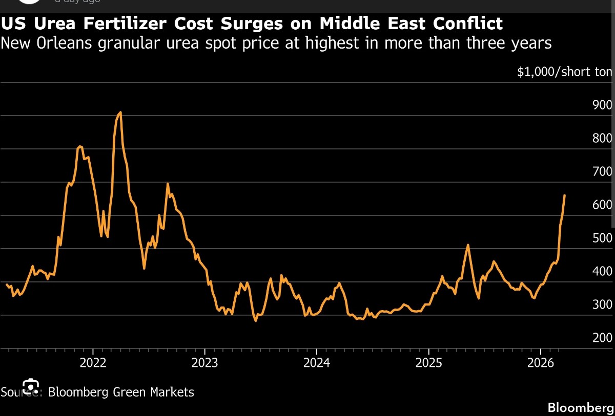 ShridhantS's tweet image. Fertilizer price skyrocket 

2022 peak during the Russia &amp;amp; Ukraine war was $910 ton short term 

Latest war impact ~$660 per ton 

The conflict has disrupted key shipping route through the gulf of harmuz 

This caused a 37% jump in middle east Fob Urea price 

#Fertilizer