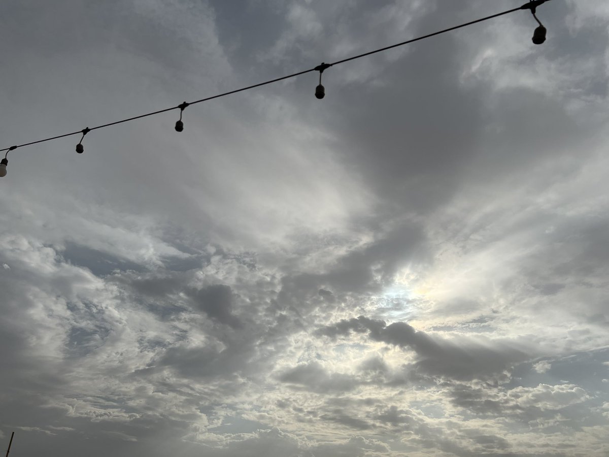 ⪩•⪨ tweet media