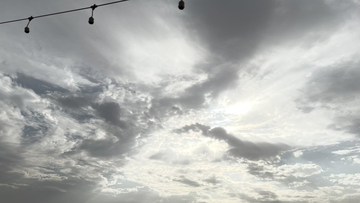 ⪩•⪨ tweet media