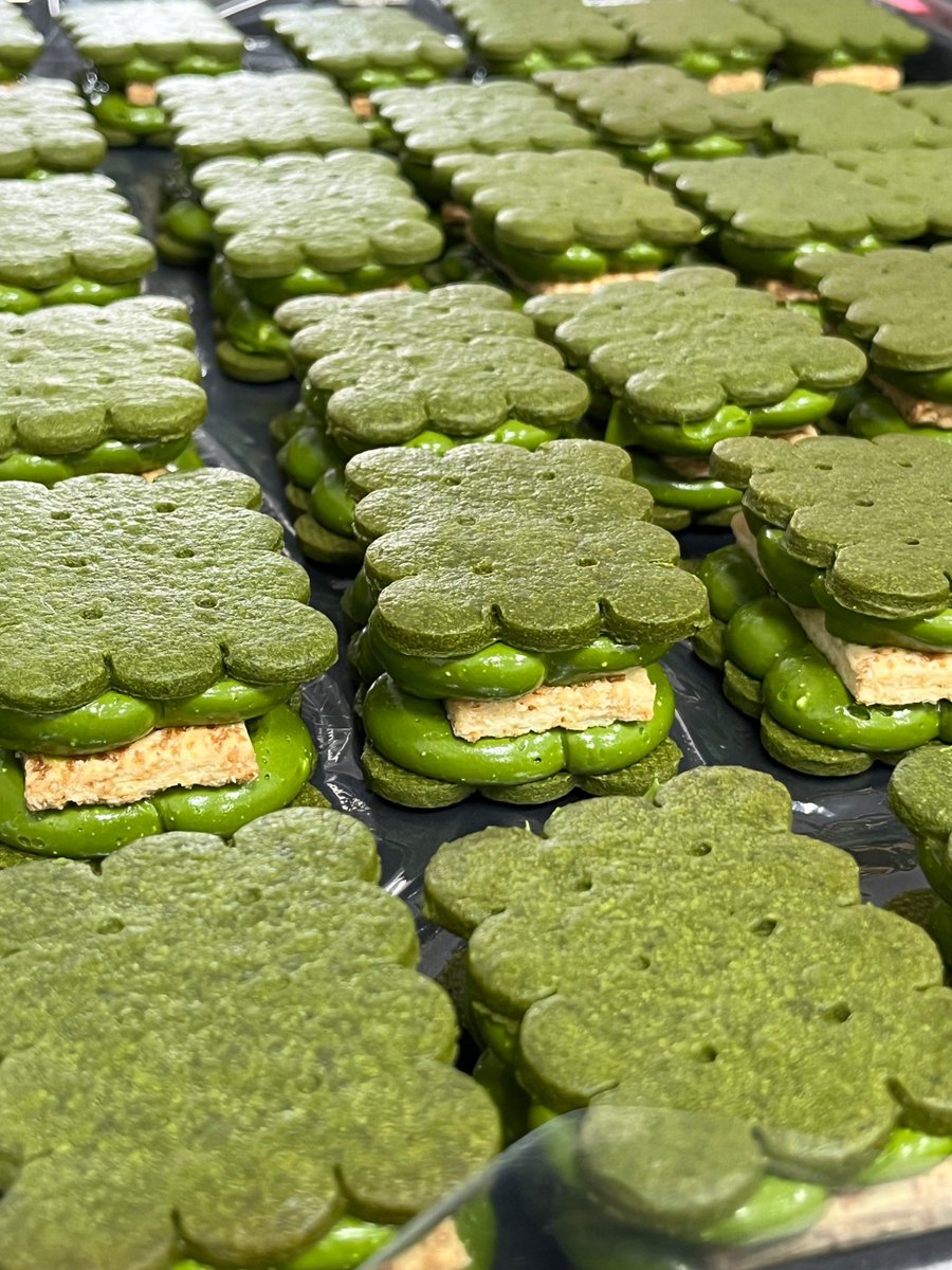 Alexis Viirus  tweet media