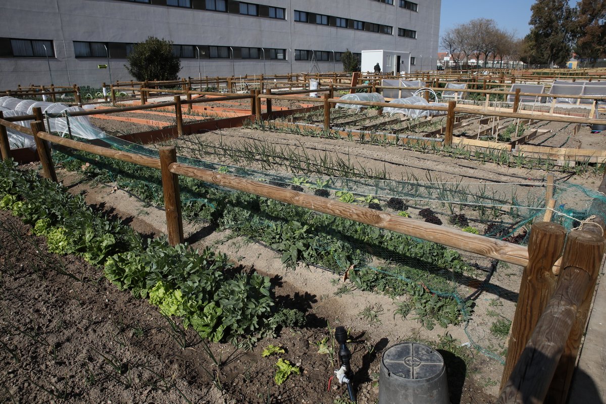 Ayuntamiento Getafe tweet media