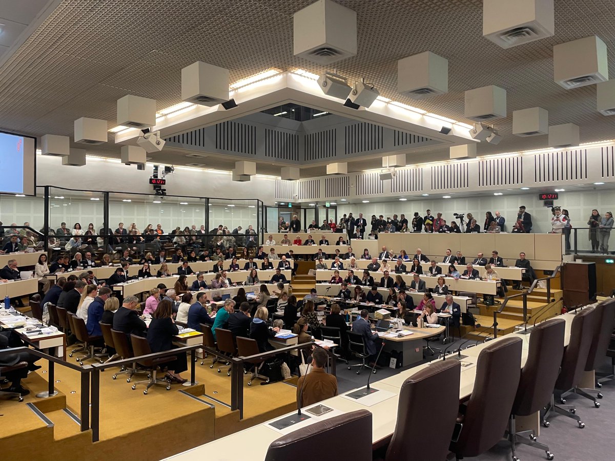 Lyon Mag tweet media