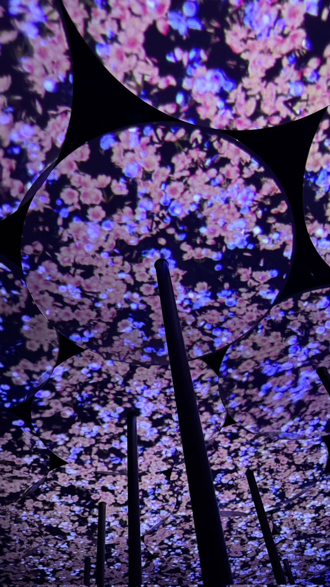 Access Kardashian tweet media