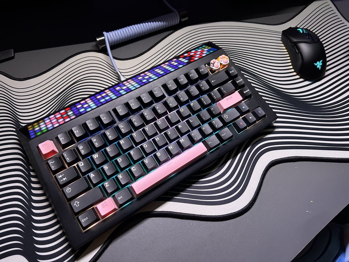 NIEWLOCK tweet media