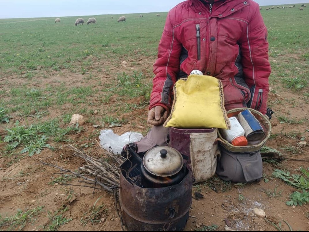 مِشْعَل العنزي🌿 tweet media