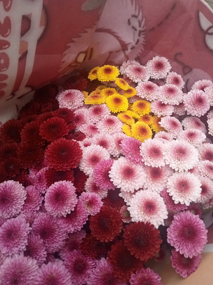 Lavienna tweet media