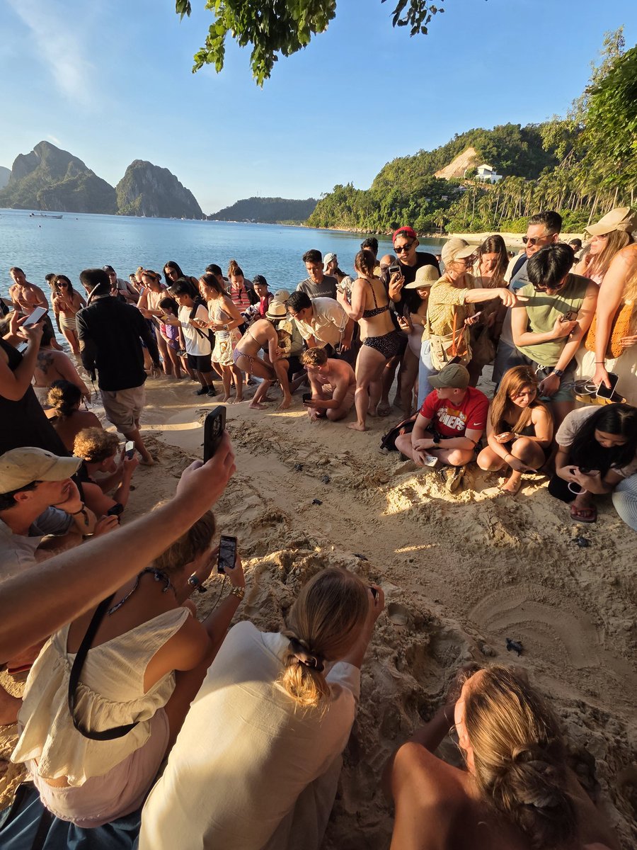 Jaytrading tweet media