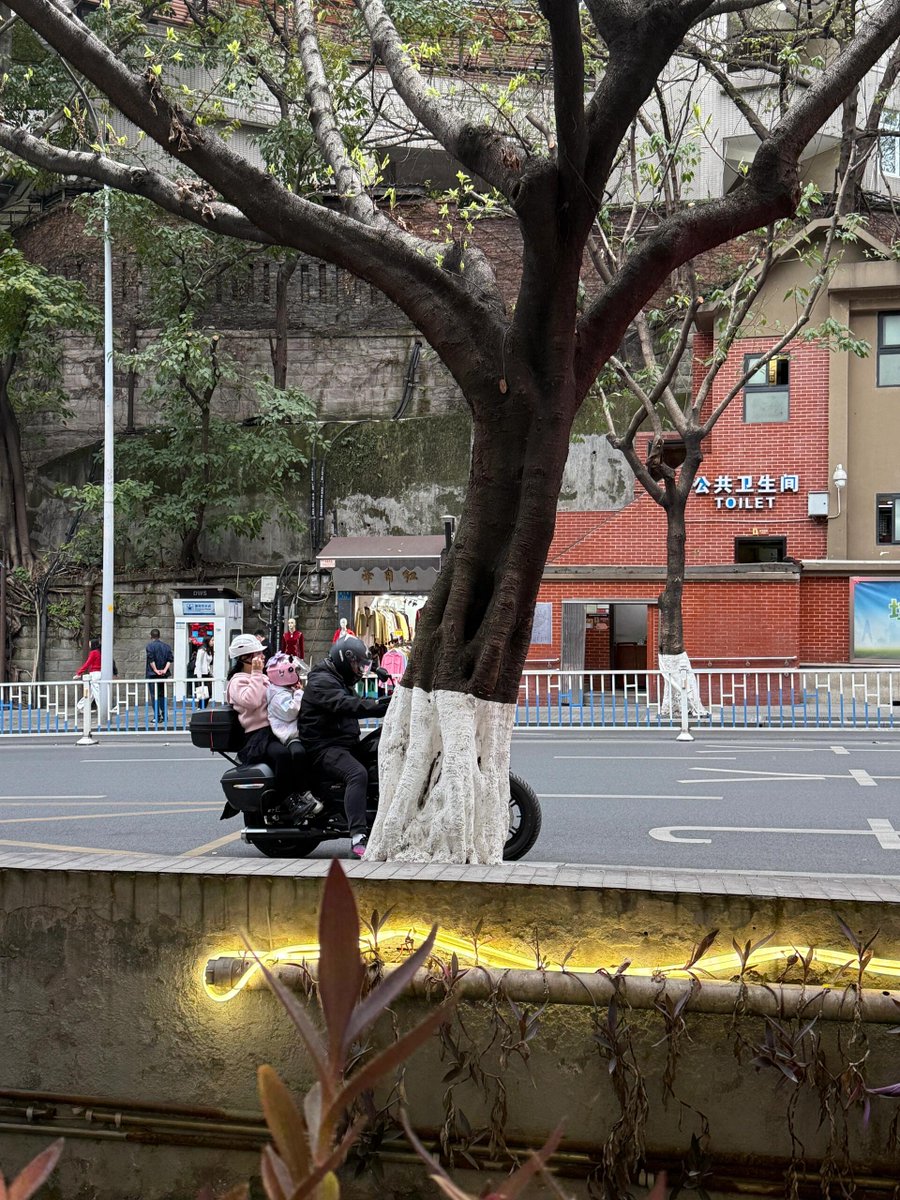 Любовь tweet media