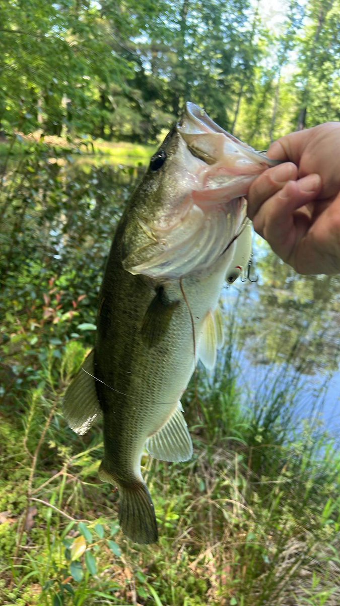 RetiredNavySquid🇺🇸 tweet media