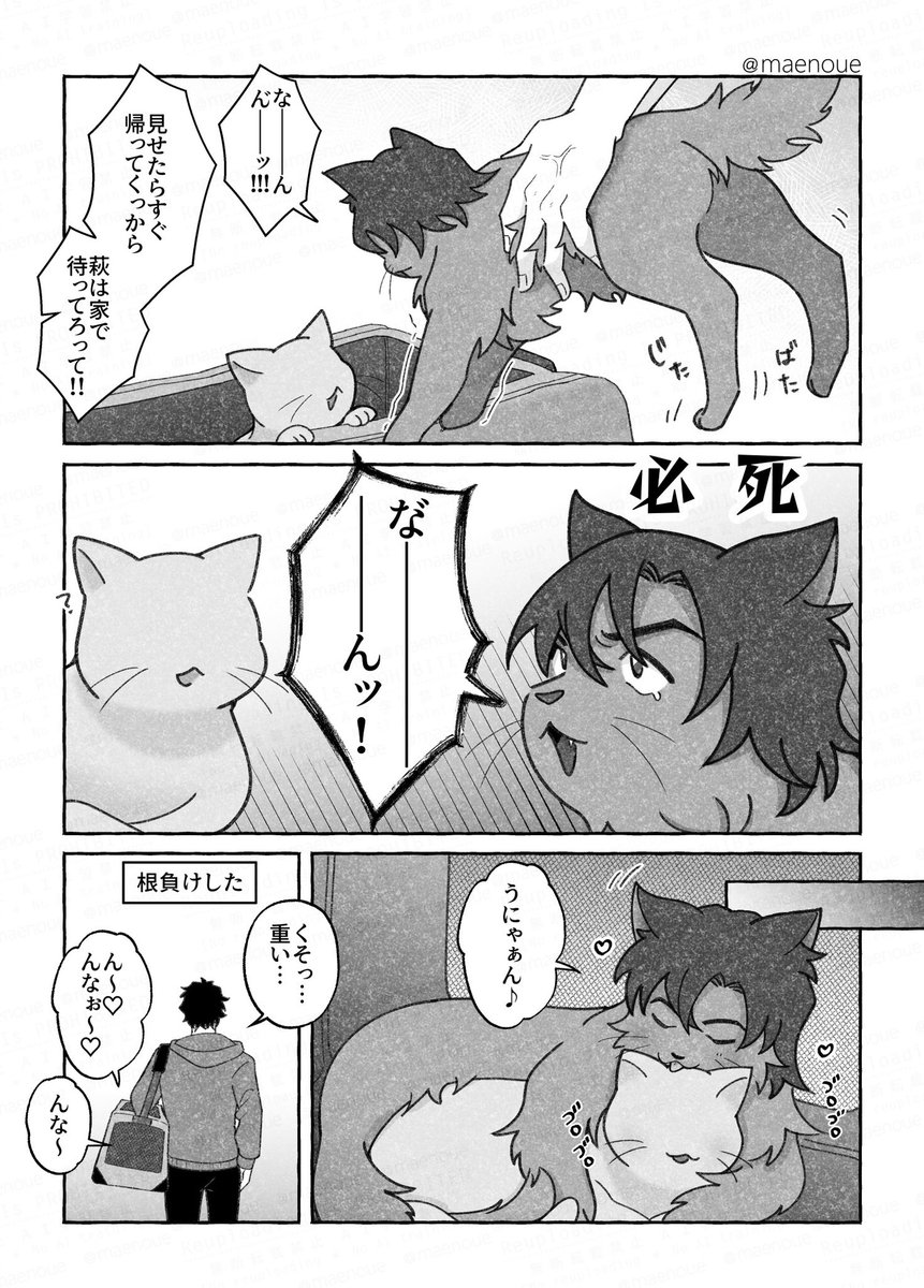 まえのうえ tweet media