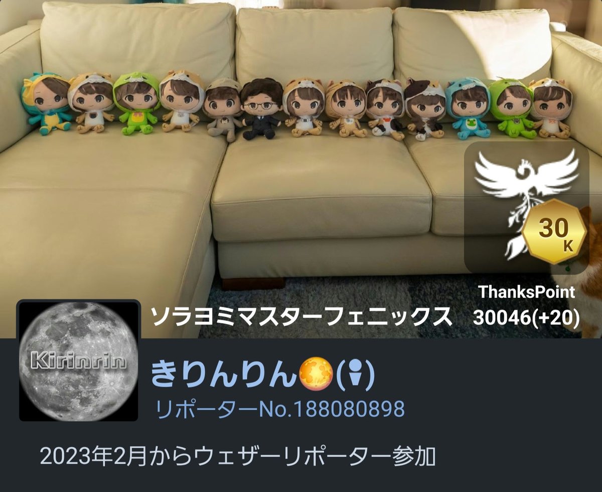 きりんりん🌕 tweet media