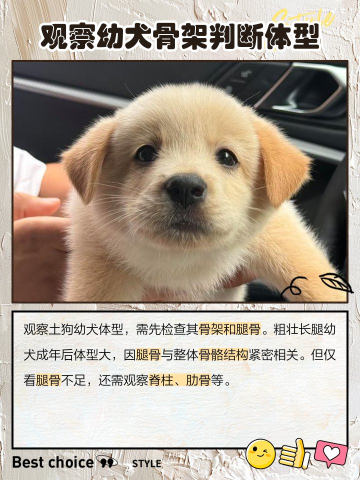 ANGELICA RATLIFF tweet media