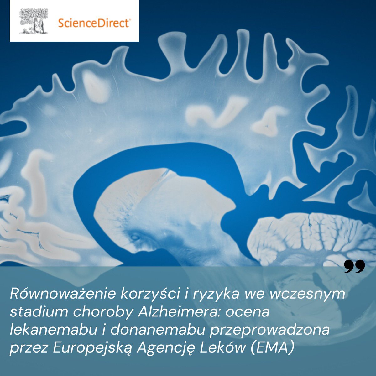 𝗚𝗿𝘇𝗲𝗴𝗼𝗿𝘇 𝗖𝗲𝘀𝘀𝗮𝗸 tweet media