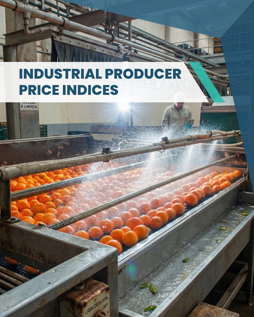 NSO Malta tweet media