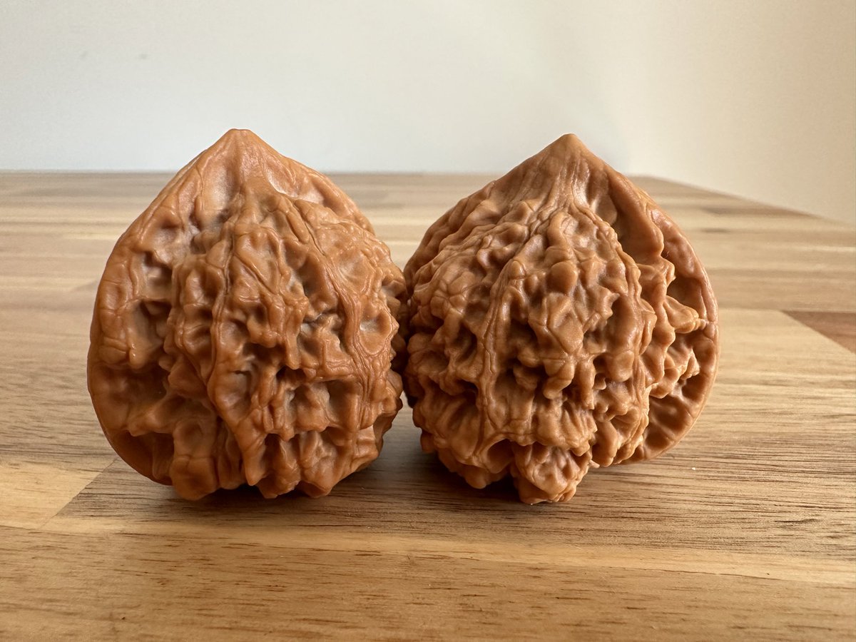 maakurika 🦐 LIGHTMOTIF tweet media