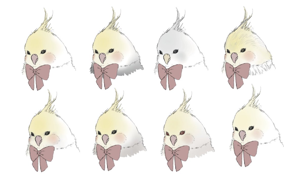 TaTamiiinga's tweet photo. オカメインコさん https://t.co/im93aH3cnz