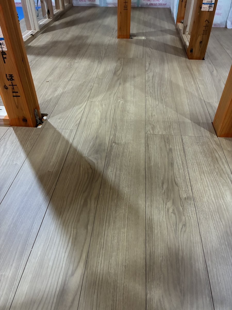 🌵_ (¦კ［トシオ］ tweet media