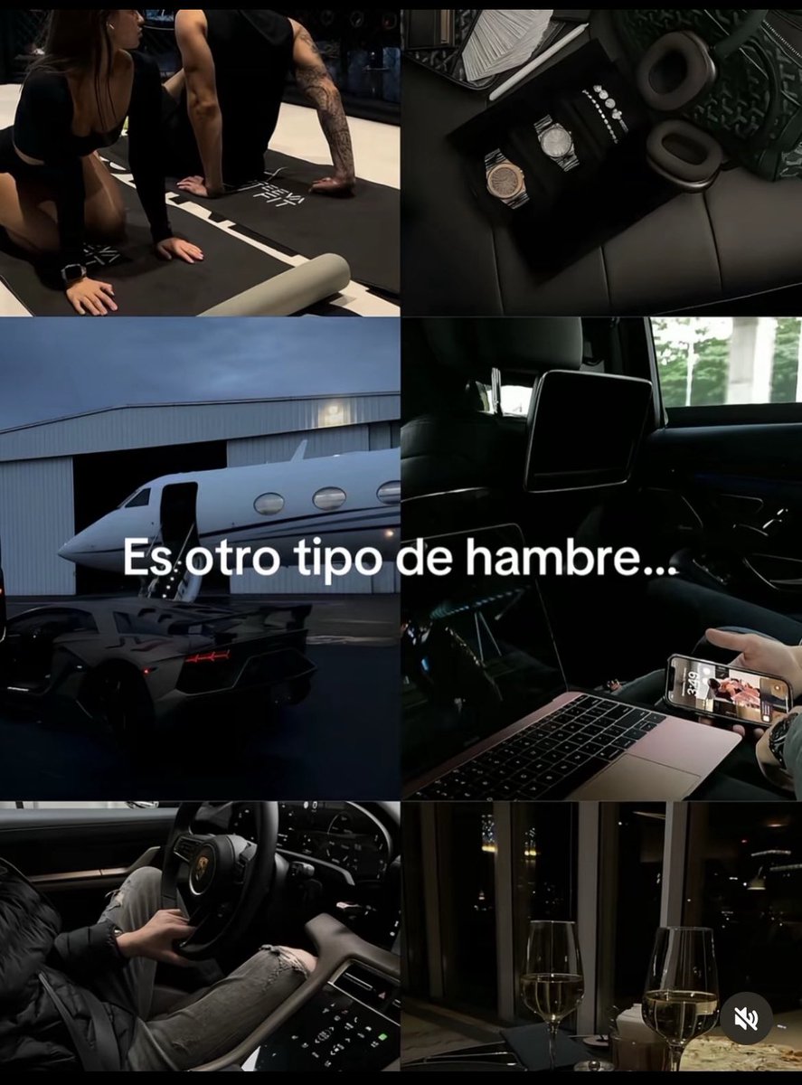 Disciplina tweet media