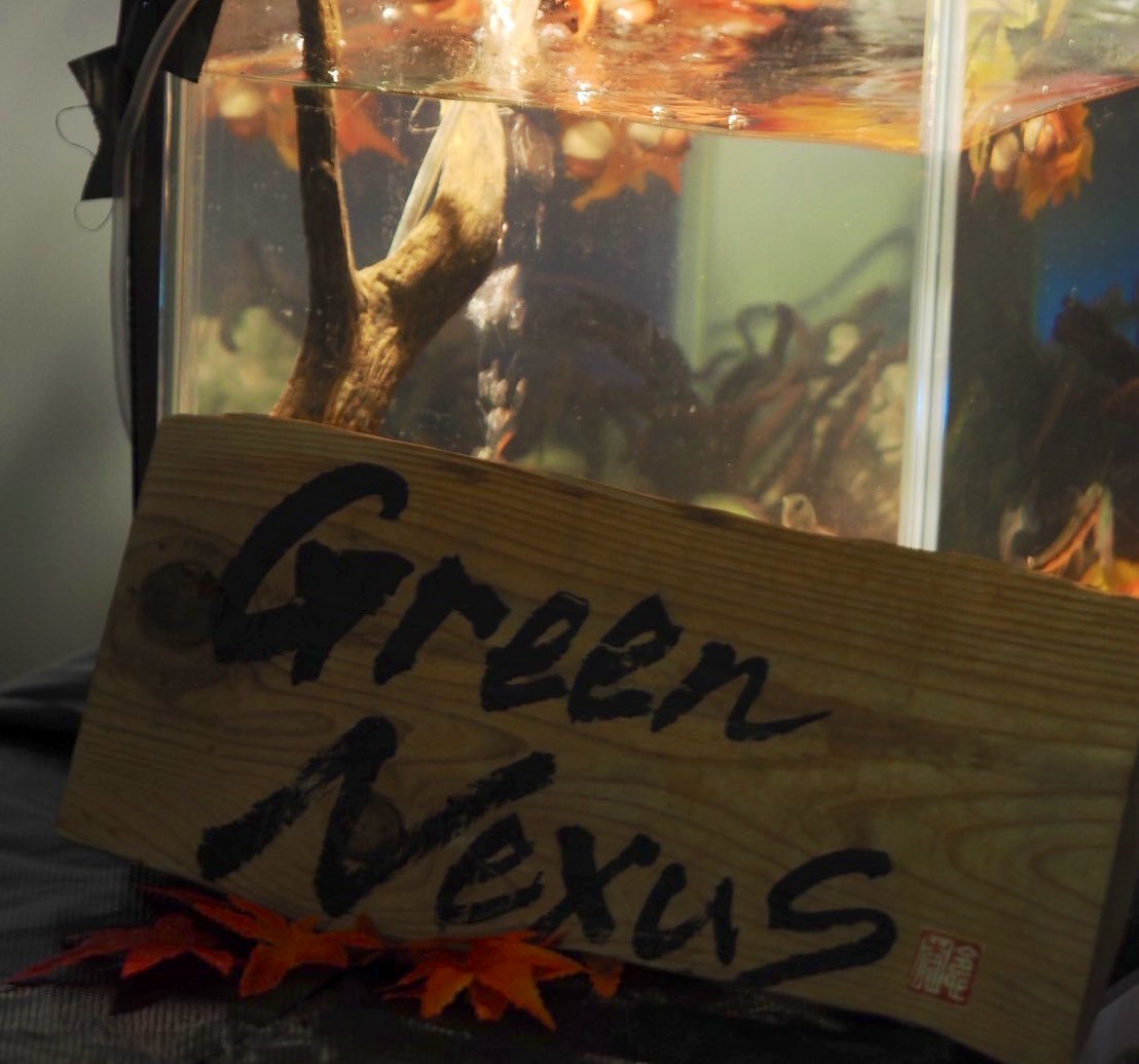 Green__Nexus's tweet photo. 佐賀大学に合格された皆さん、おめでとうございます🥳🥳

佐賀大学公認団体 Green-Nexusです！
私達は出張水族館や出展などのイベント、隔週のラジオ、地域の環境活動に参加しています！！

これから活動紹介を投稿していくのでフォローして是非ご覧ください♪

#春から佐賀大学
#春から佐賀大 https://t.co/1LcqPaVsA9
