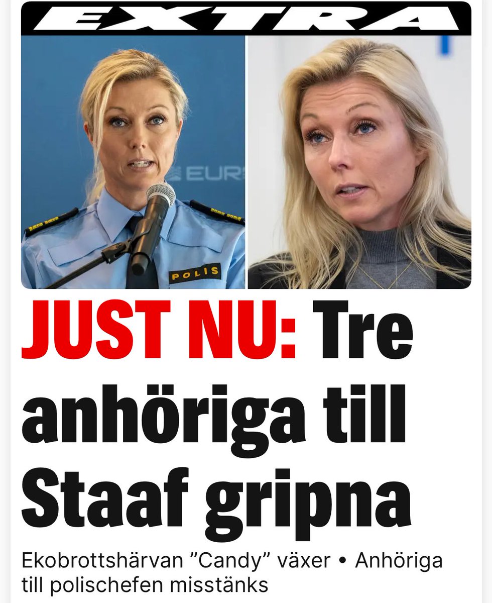 Chauvini 🇸🇪 tweet media