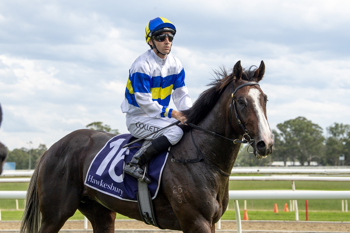 Tara Madgwick tweet media