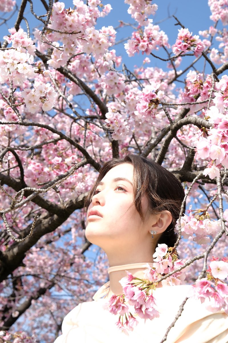 harahorohirehare(はるほろ) tweet media