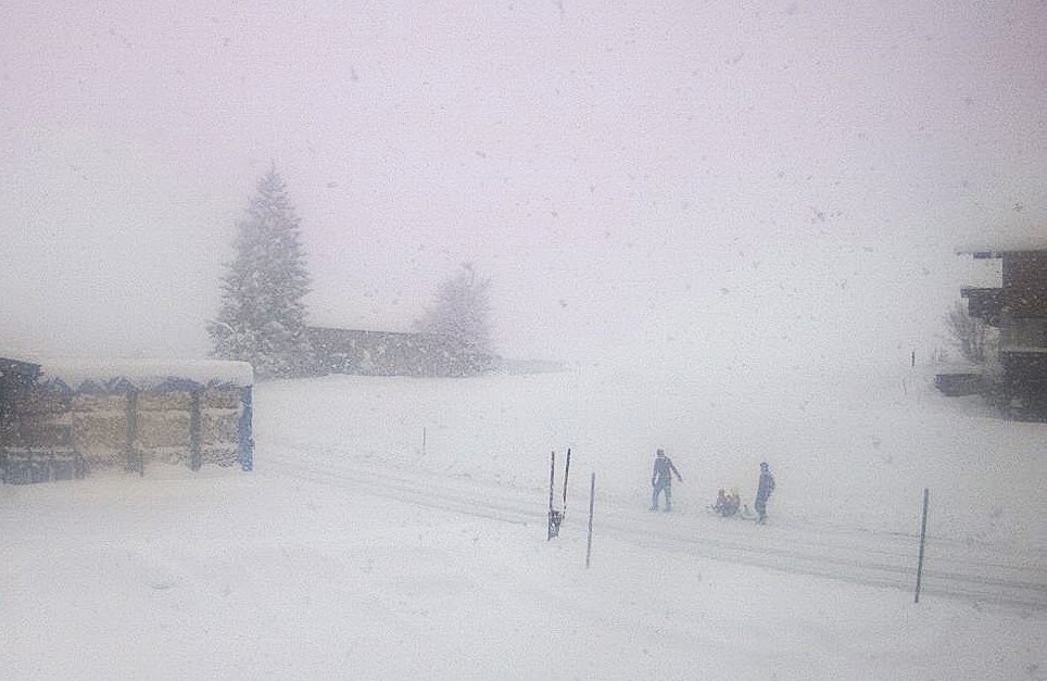 hansterbraak's tweet photo. Hevige #sneeuwval momenteel in #Mittelberg
(11.00 uur) https://t.co/8RHrEWQk8I