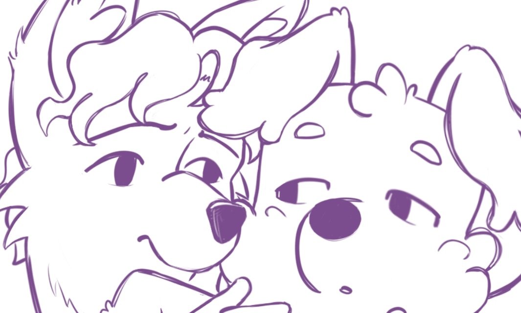 собачки мои собачки