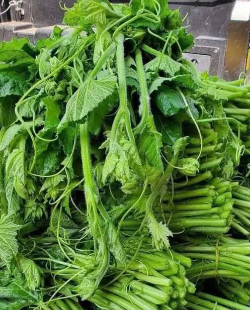 Asụsụ Igbo tweet media