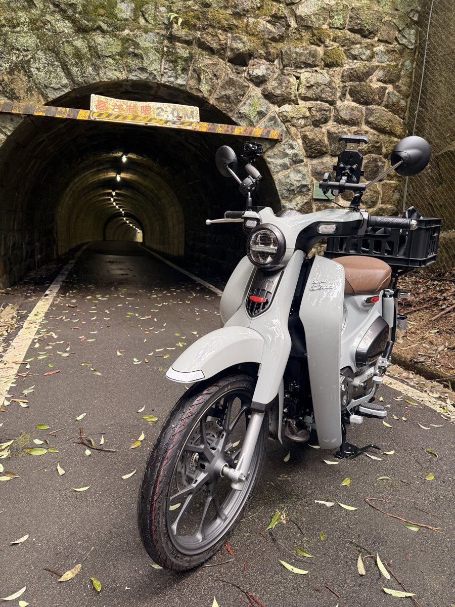 Fū / ふう tweet media