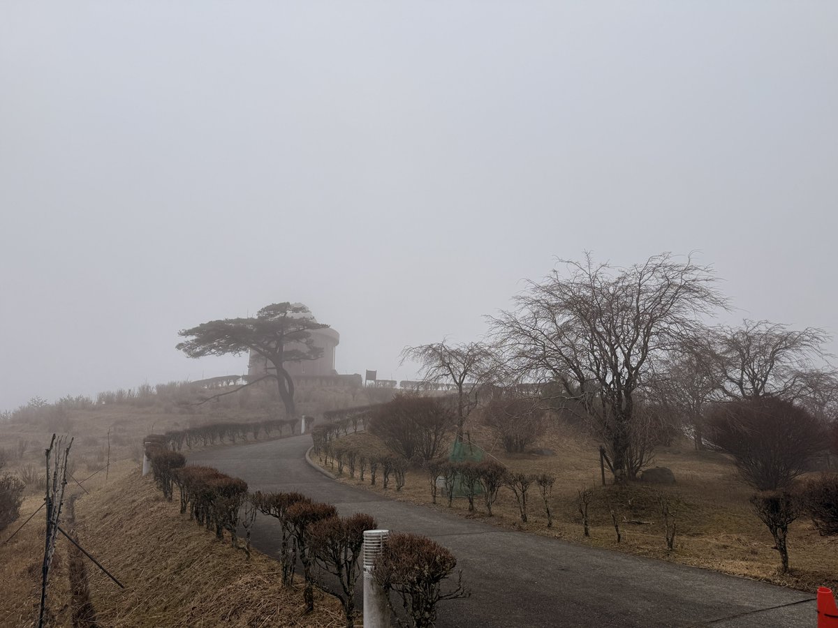 Fū / ふう tweet media