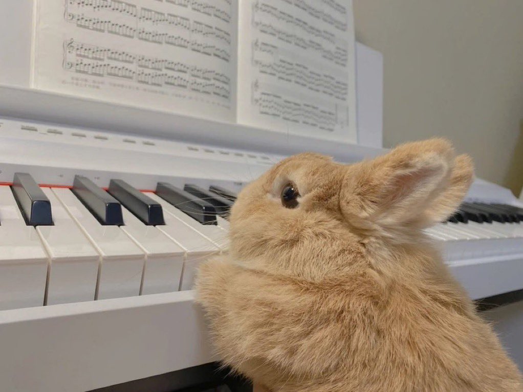 thepopularanimals tweet media