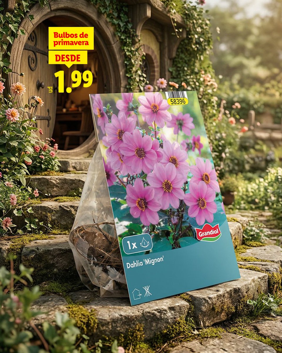 Lidl España tweet media