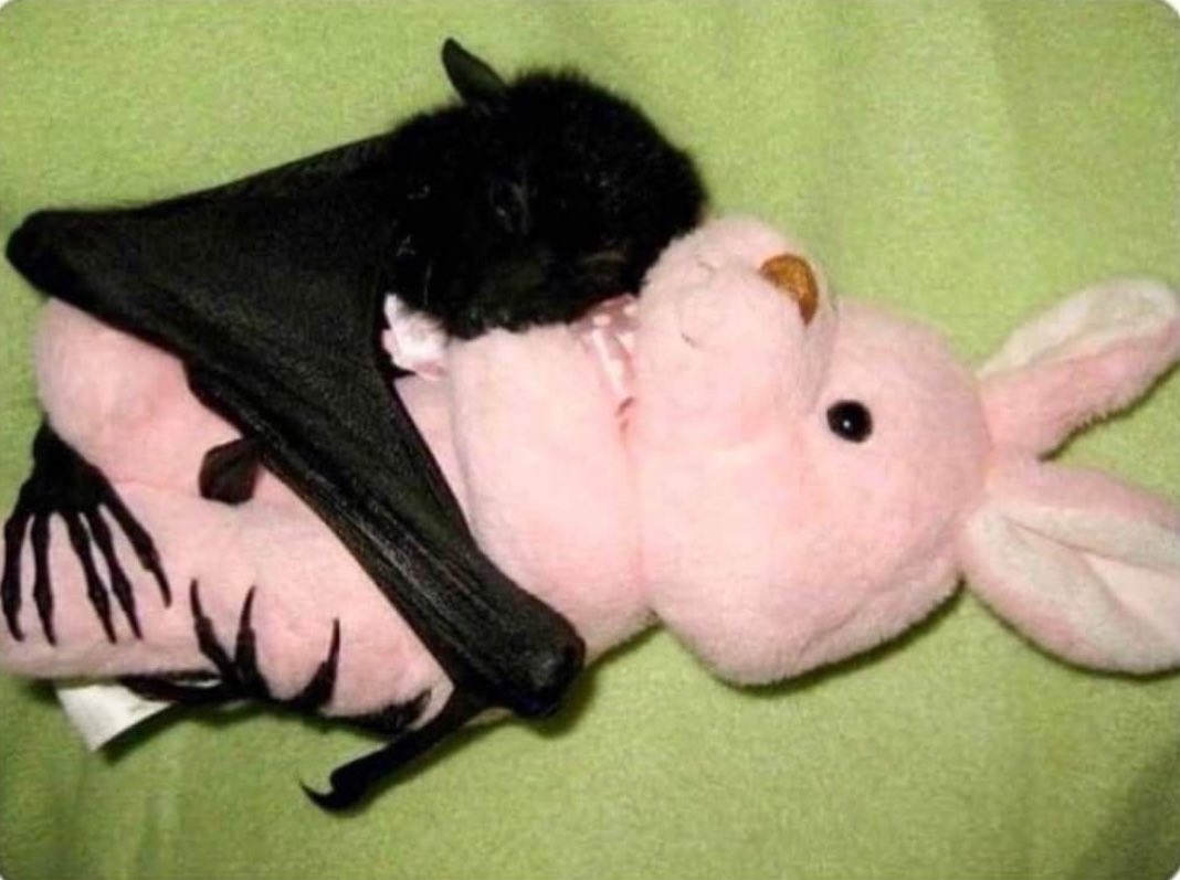 yungkidd tweet media