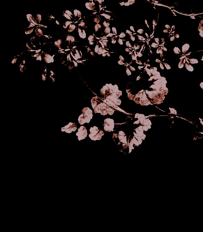 𝓕𝐞𝐫𝐧 tweet media