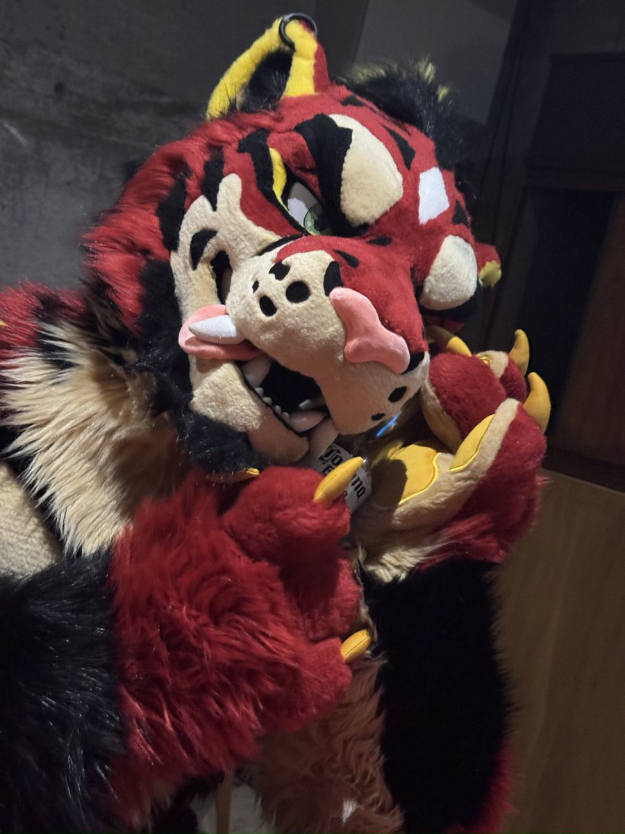 ケイシ(KC)🔜 tweet media