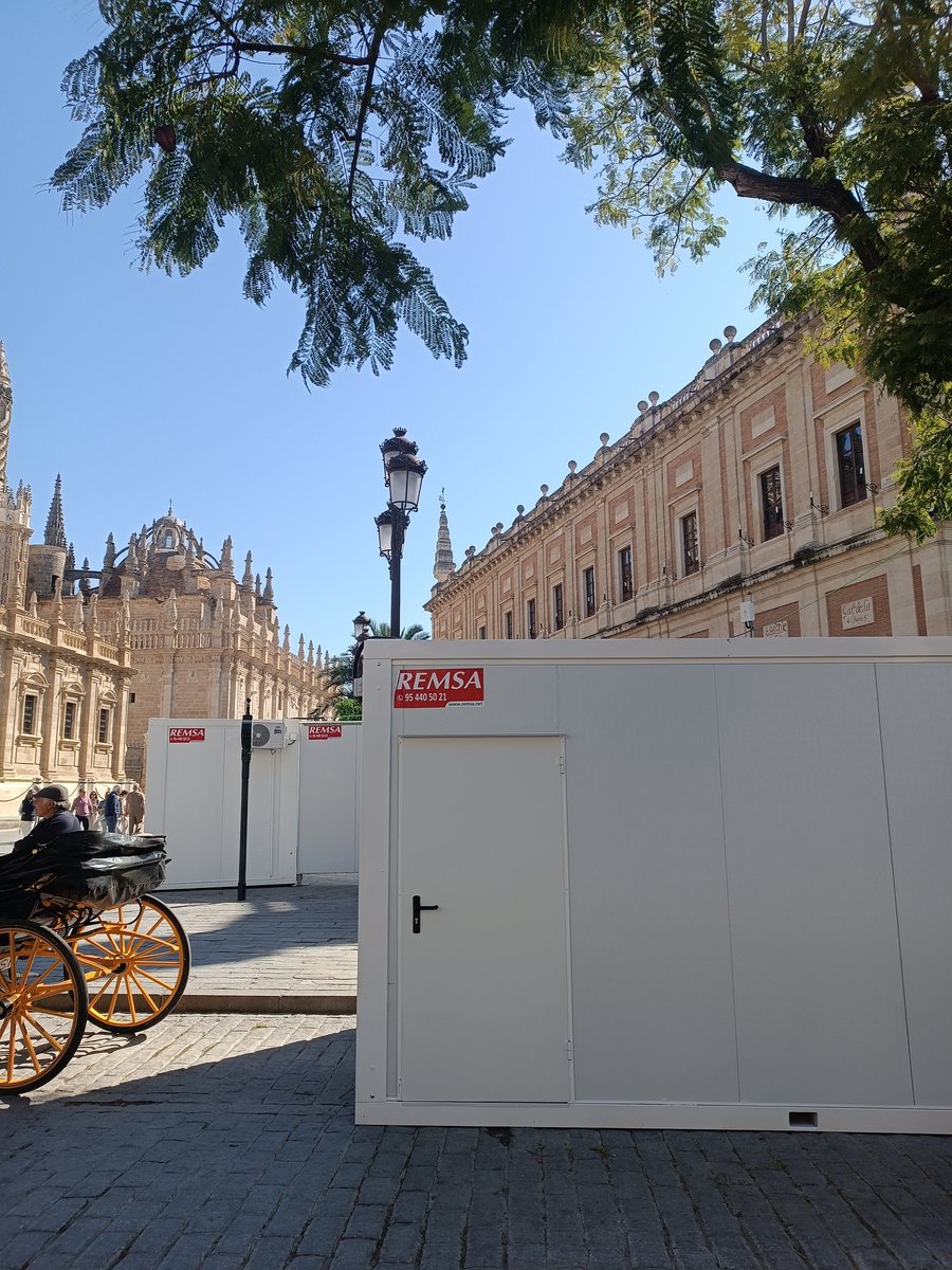 Jujo🌿 tweet media