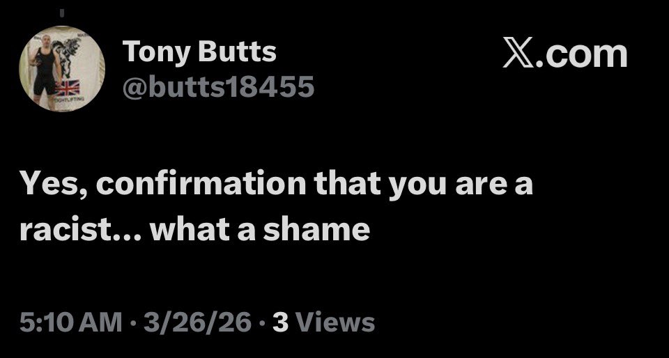 Thaddy Bear Collections 🐻 tweet media