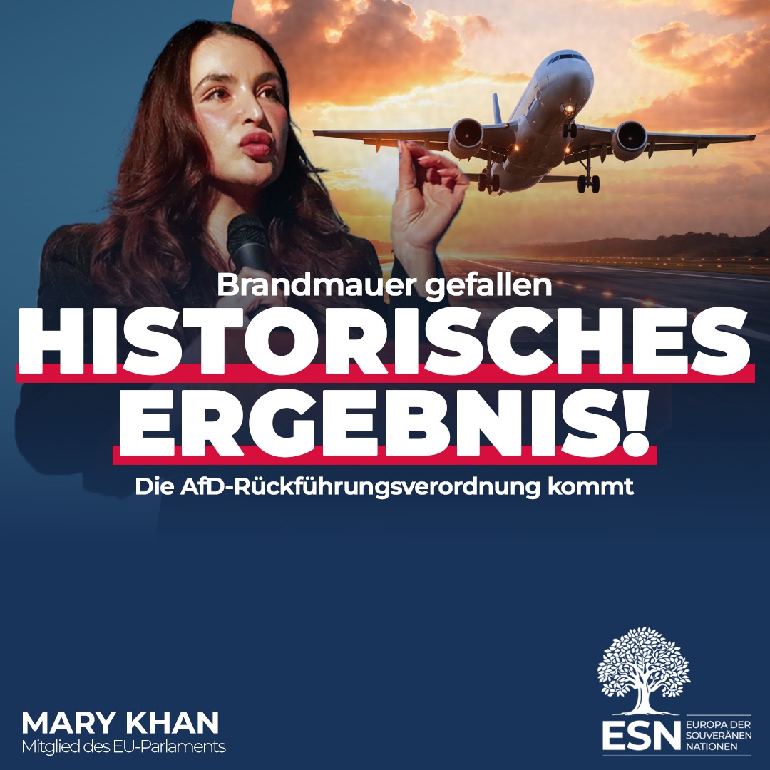 AfD im EU-Parlament tweet media