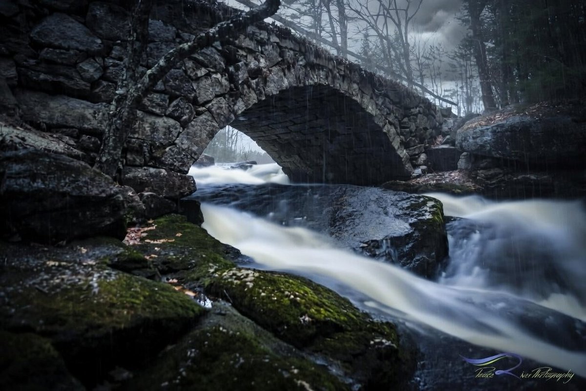 Granite Stater 🇺🇸 tweet media