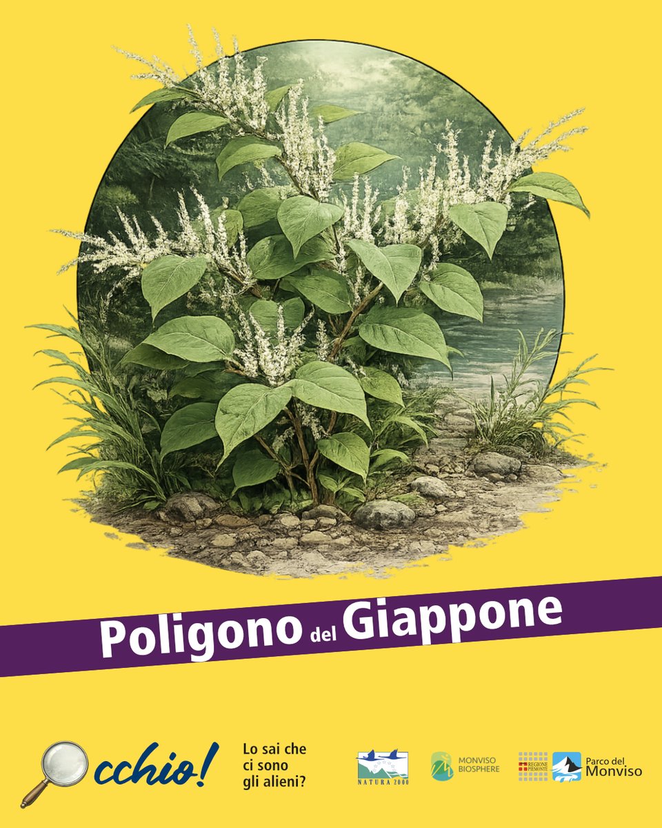 Parco del Monviso tweet media