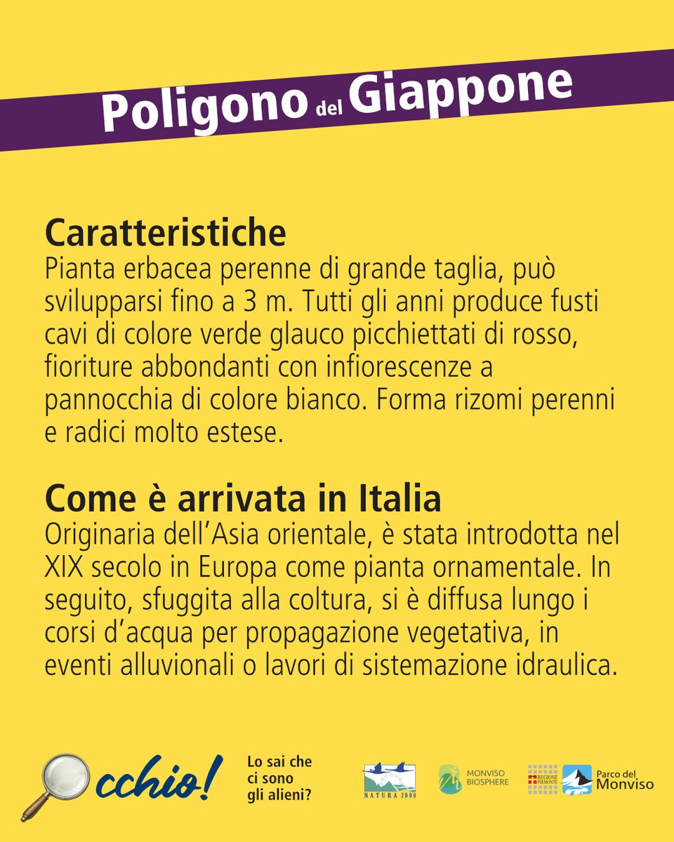 Parco del Monviso tweet media