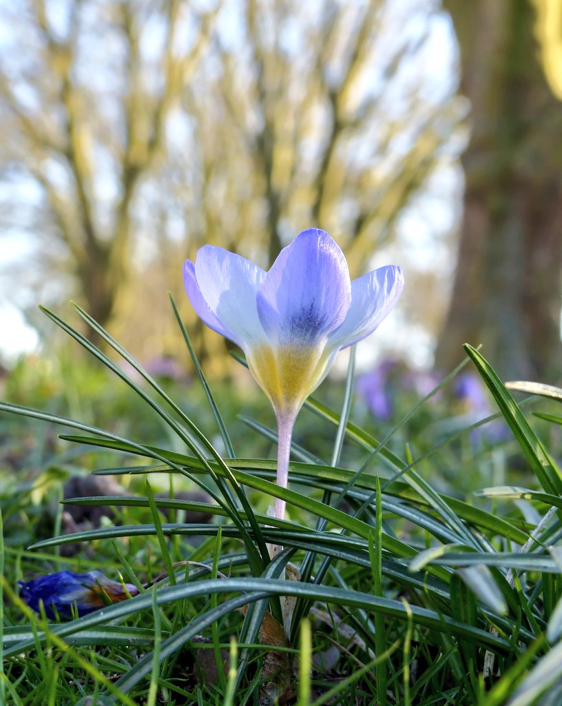 Cian McCarthy tweet media