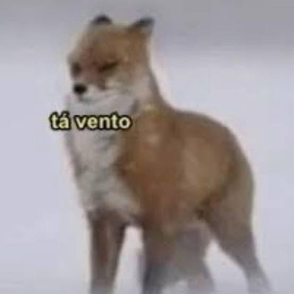 isa chaveirinho🐺🏰 tweet media