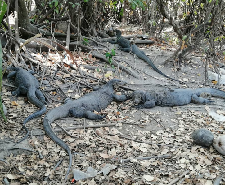 Cypherune tweet media