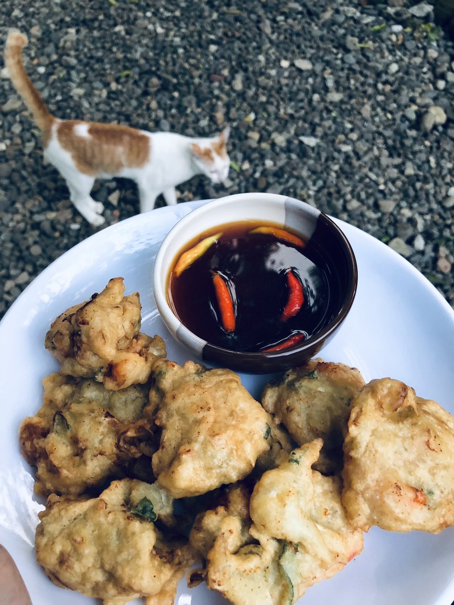 bioluminescence tweet media