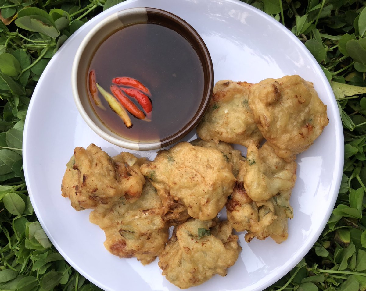 bioluminescence tweet media